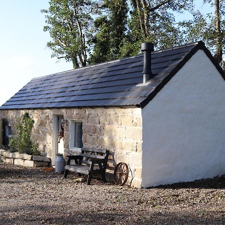 Cosy Couples Retreat At The Coop With Hot Tub Villa Kilkeel Kültér fotó